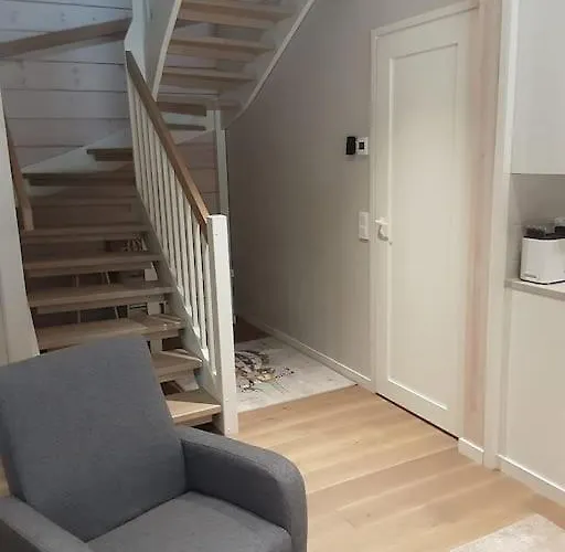 فيلة Rukan Timantti B *